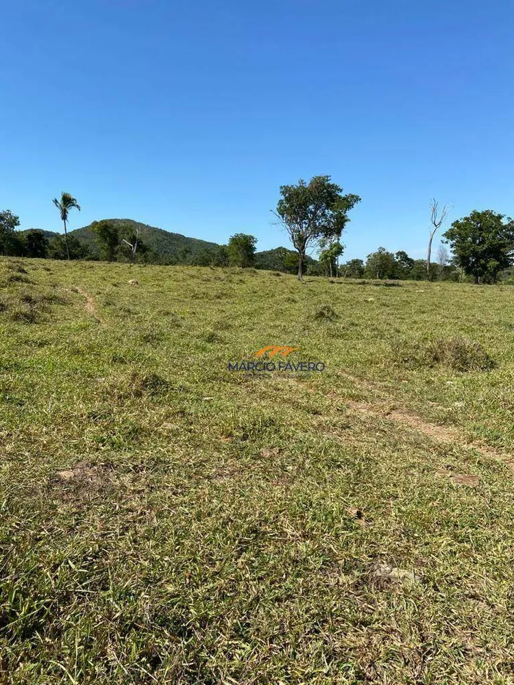 Fazenda, 212 hectares - Foto 12