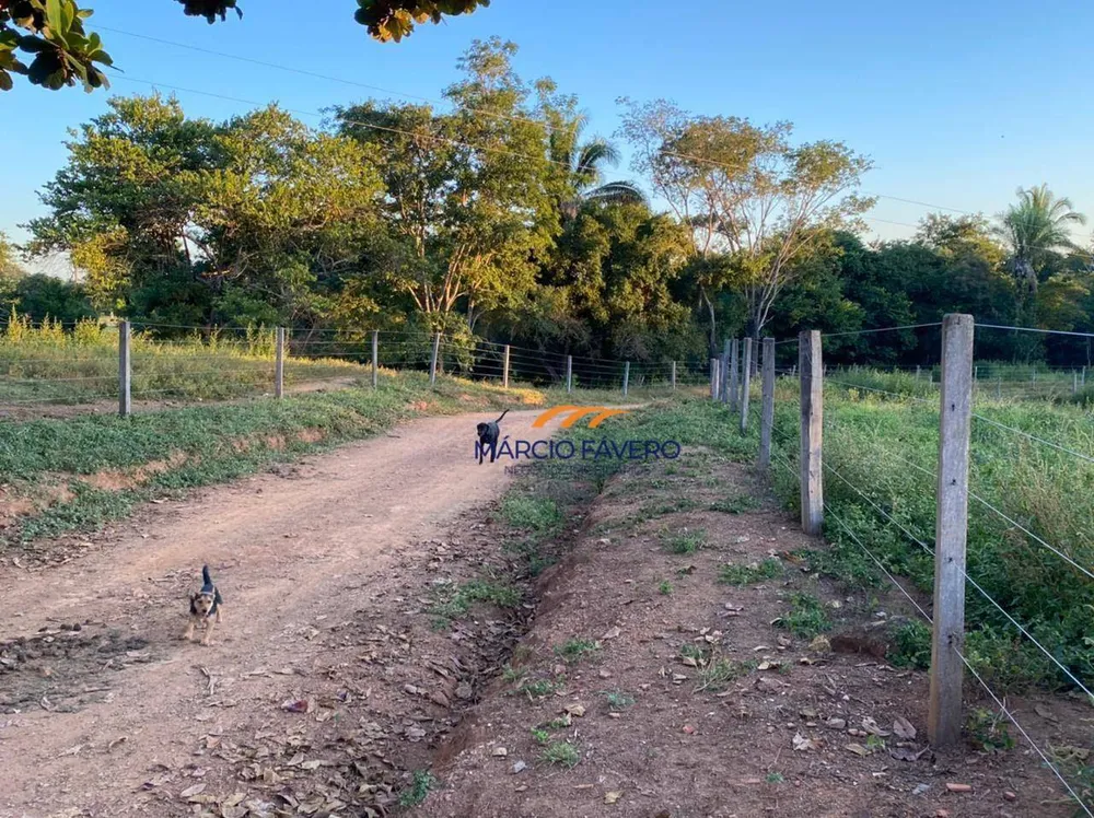 Fazenda, 212 hectares - Foto 2