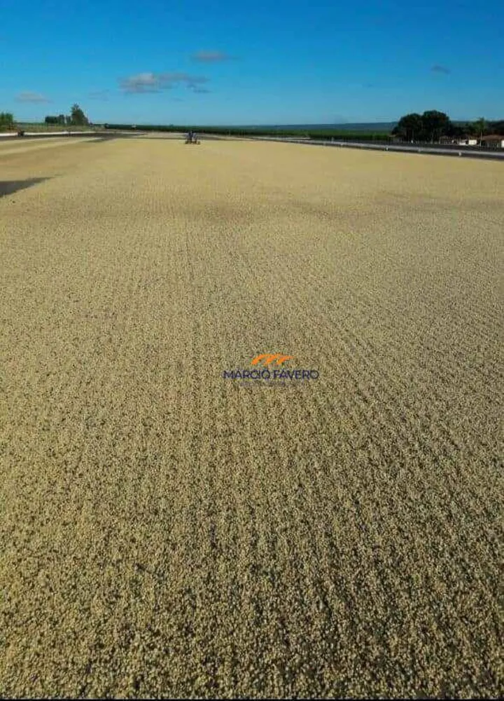 Fazenda, 2050 hectares - Foto 16