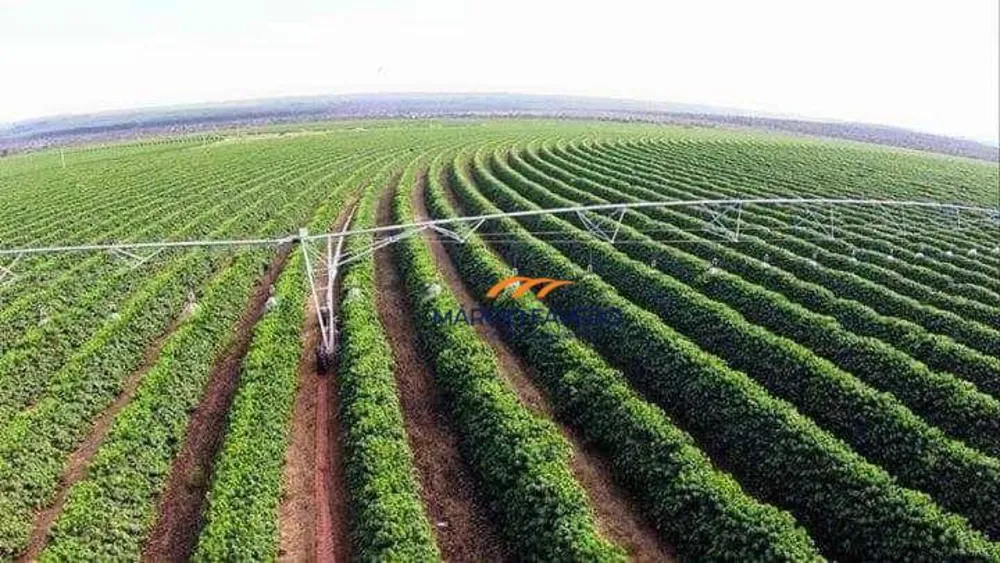 Fazenda, 2050 hectares - Foto 7