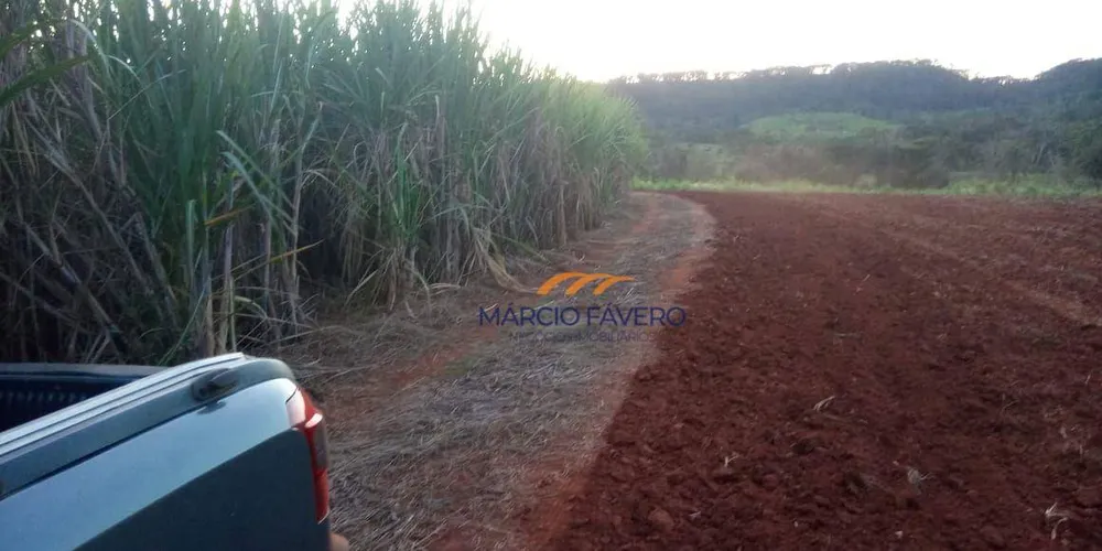 Sítio, 76 hectares - Foto 4