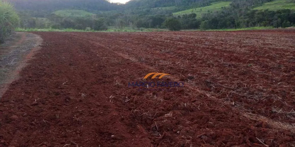 Sítio, 76 hectares - Foto 4
