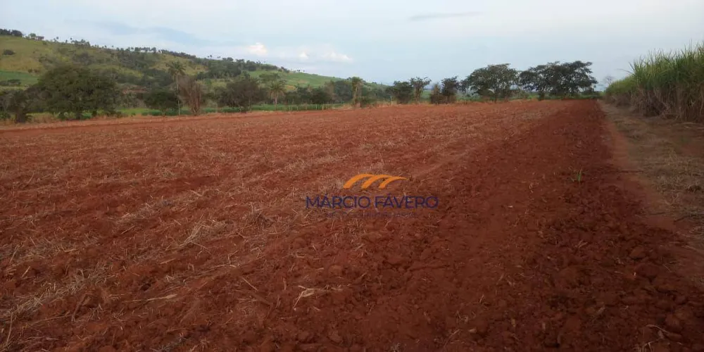 Sítio, 76 hectares - Foto 1