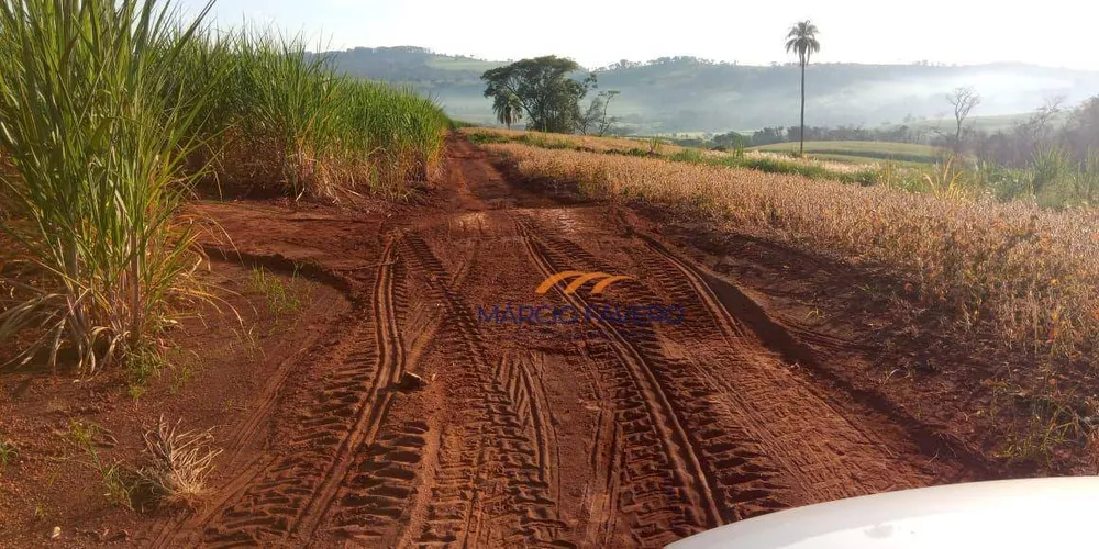 Sítio, 76 hectares - Foto 6