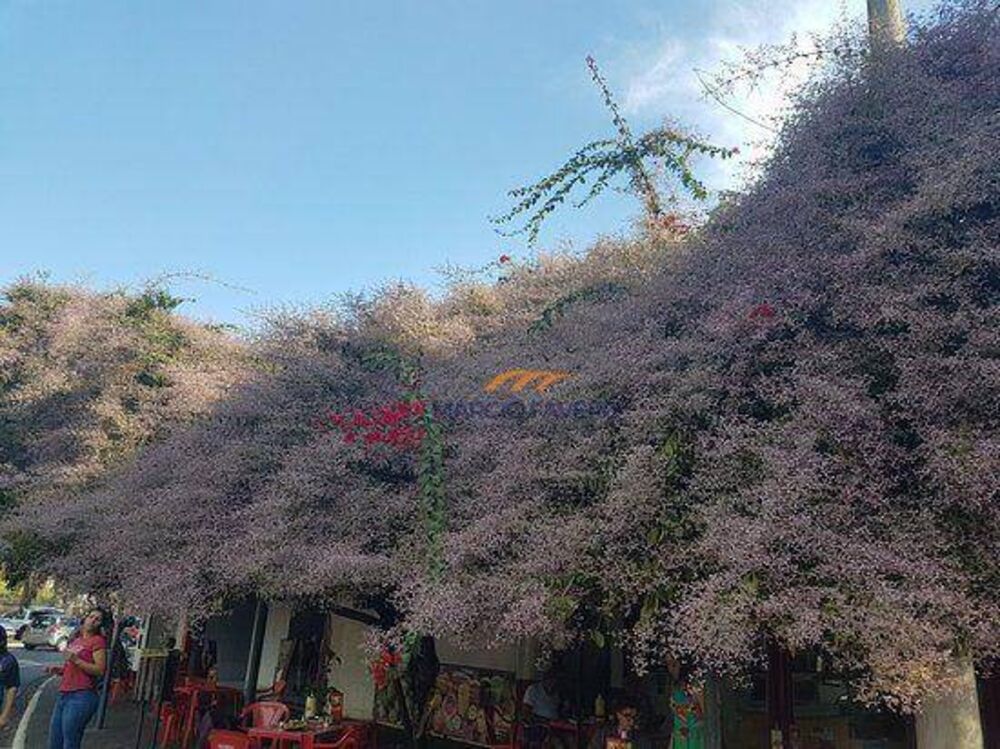 Terreno, 165 m² - Foto 3