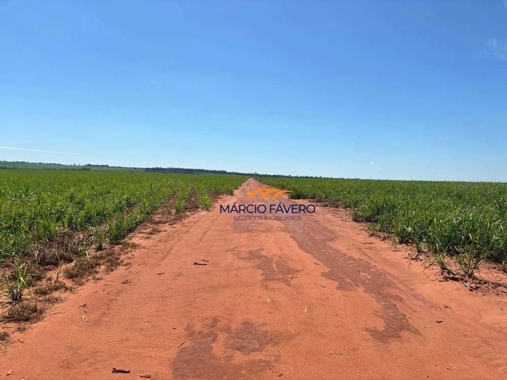 Fazenda, 465 hectares - Foto 4