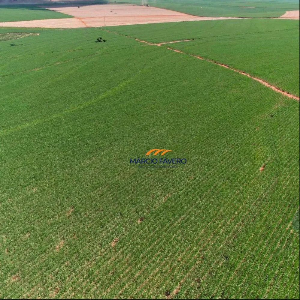 Fazenda, 465 hectares - Foto 1