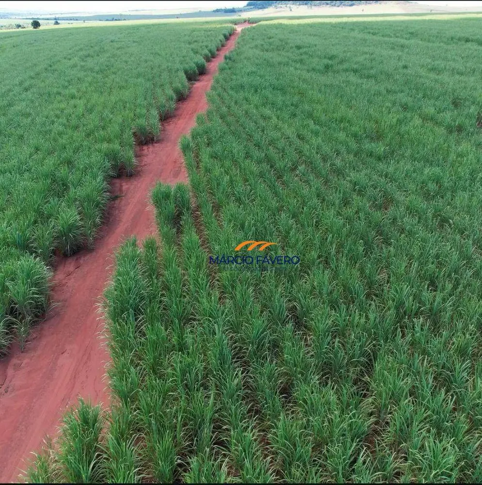 Fazenda, 465 hectares - Foto 8