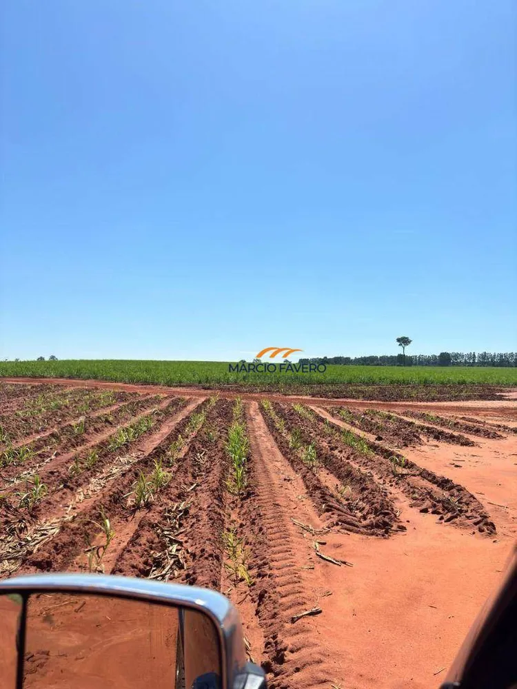 Fazenda, 465 hectares - Foto 7