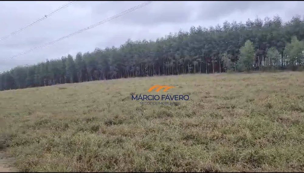 Sítio, 62 hectares - Foto 1