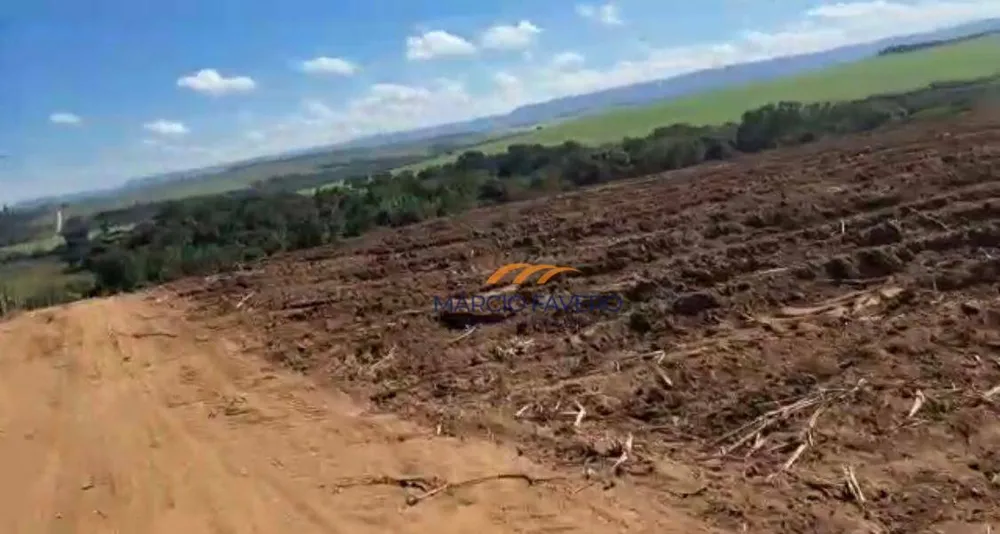 Fazenda, 98 hectares - Foto 6