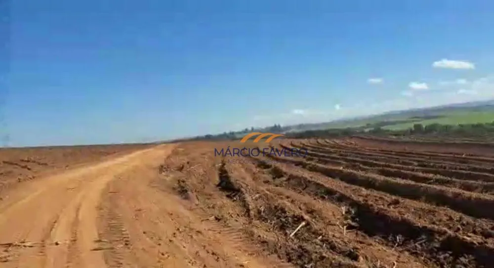 Fazenda, 98 hectares - Foto 11