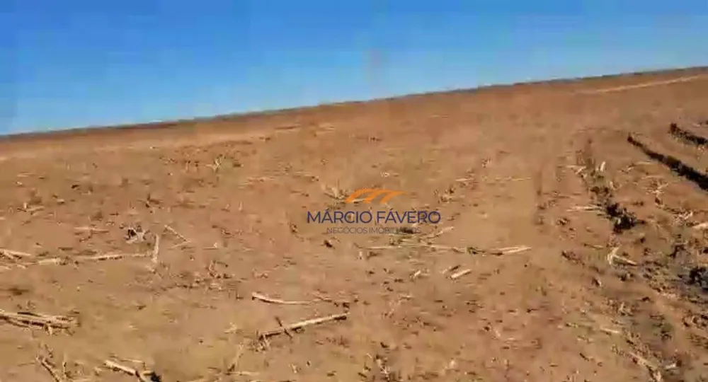 Fazenda, 98 hectares - Foto 9