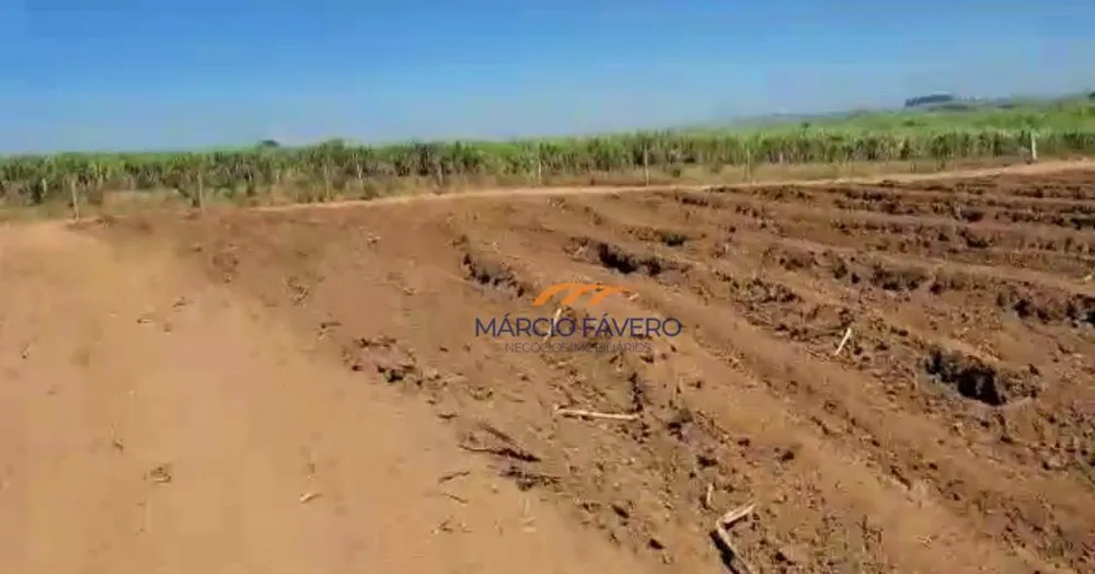 Fazenda, 98 hectares - Foto 8