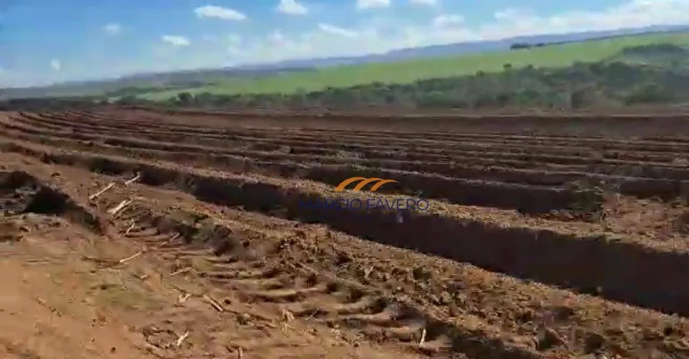 Fazenda, 98 hectares - Foto 4