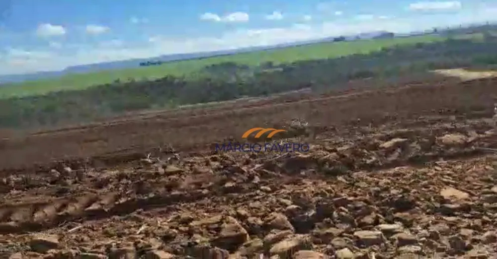 Fazenda, 98 hectares - Foto 12
