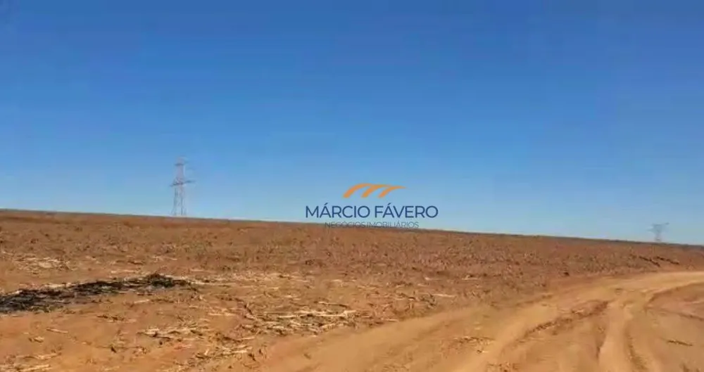 Fazenda, 98 hectares - Foto 3