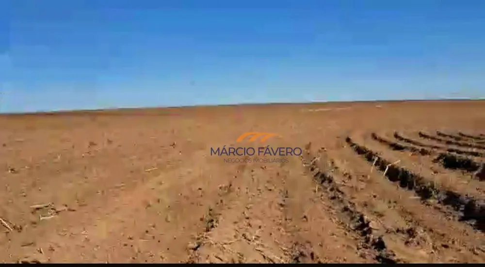 Fazenda, 98 hectares - Foto 1