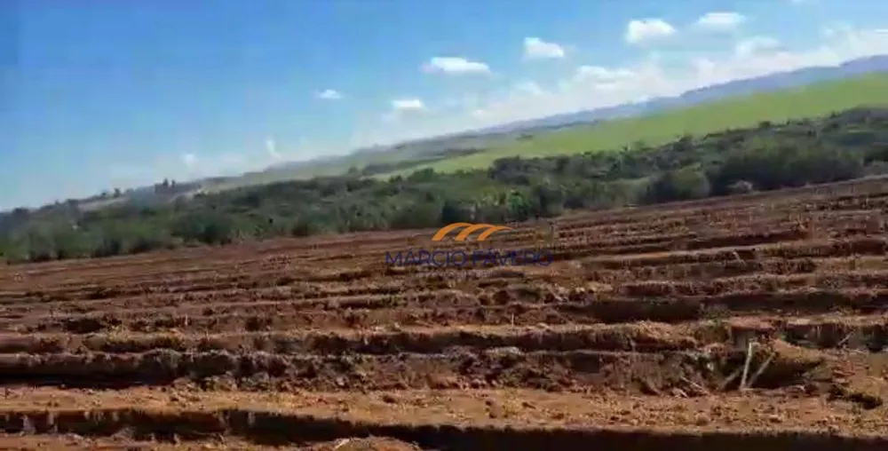 Fazenda, 98 hectares - Foto 7