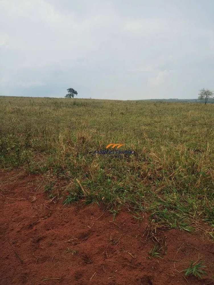 Fazenda, 484 hectares - Foto 4