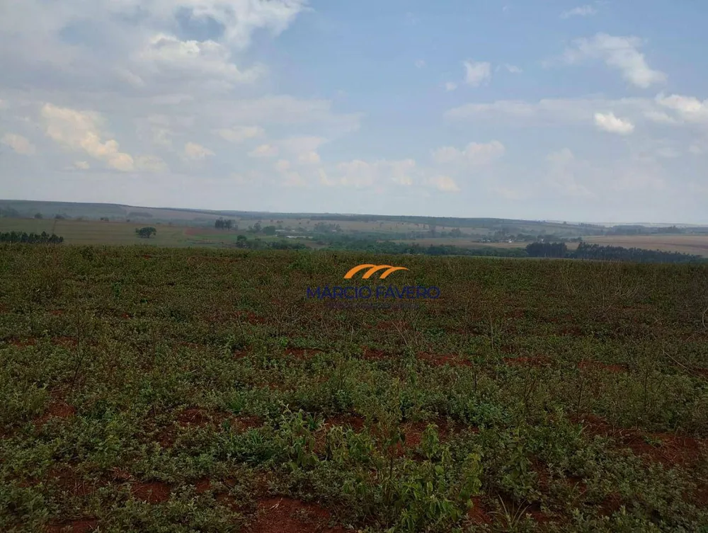 Fazenda, 484 hectares - Foto 11