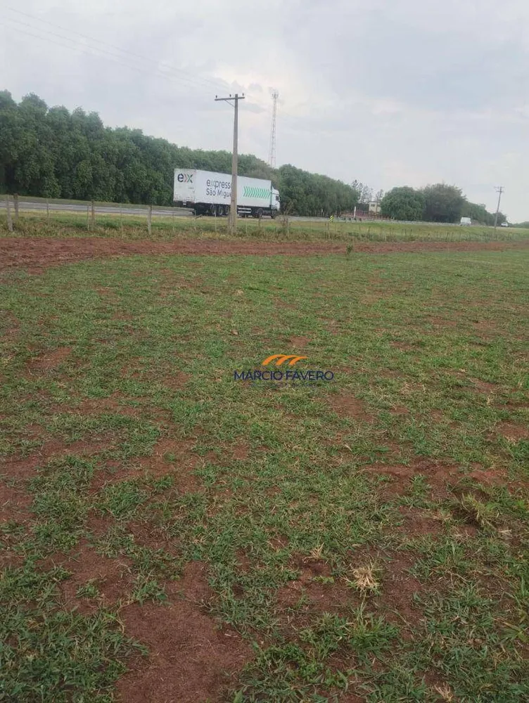 Fazenda, 484 hectares - Foto 10