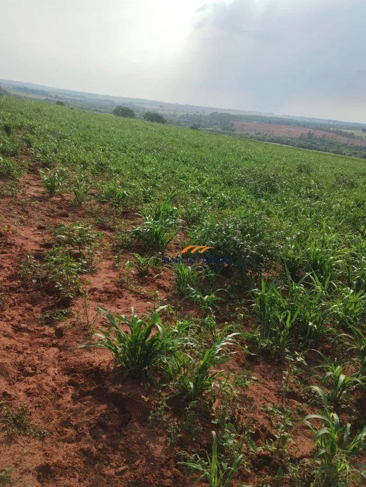 Fazenda, 484 hectares - Foto 2