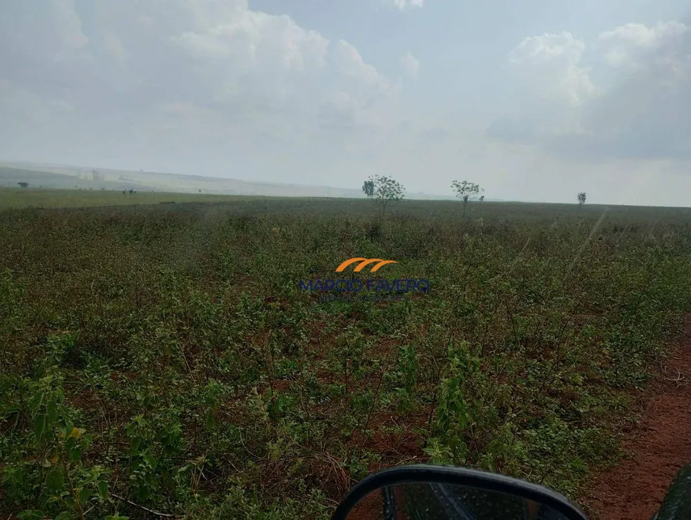 Fazenda, 484 hectares - Foto 5