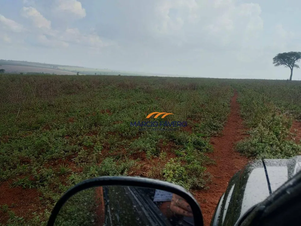 Fazenda, 484 hectares - Foto 6