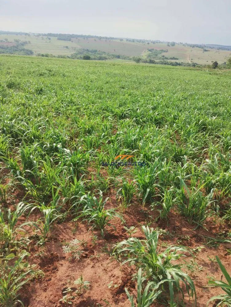 Fazenda, 484 hectares - Foto 3