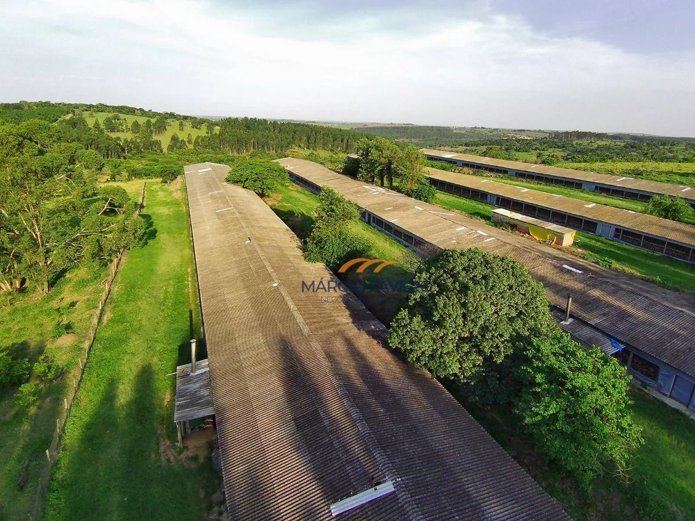 Sítio, 90 hectares - Foto 4