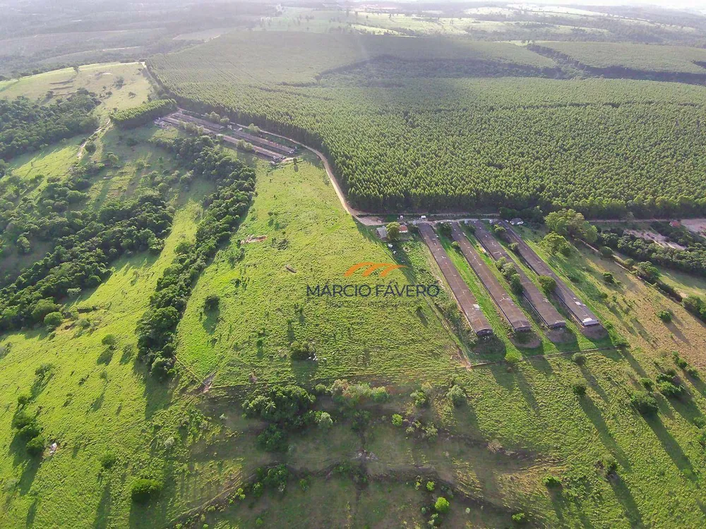 Sítio, 90 hectares - Foto 6