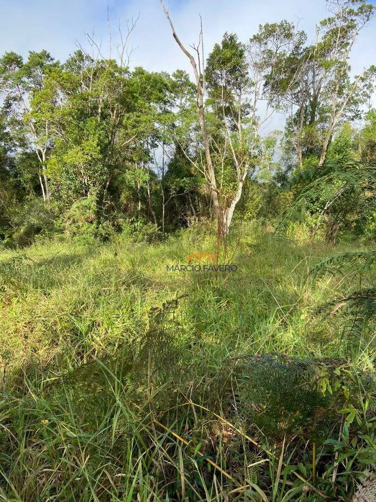 Fazenda, 189 hectares - Foto 7