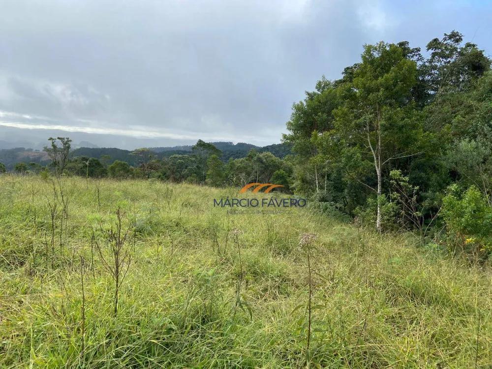 Fazenda, 189 hectares - Foto 2