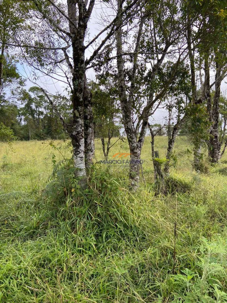 Fazenda, 189 hectares - Foto 5