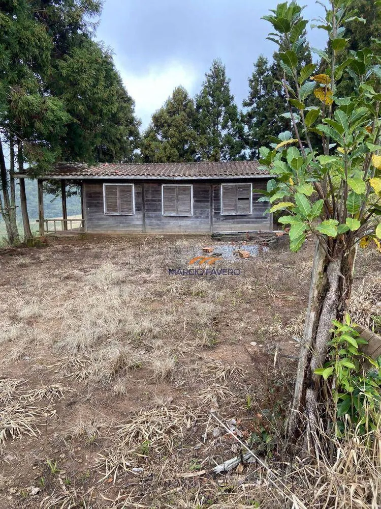 Fazenda, 189 hectares - Foto 4