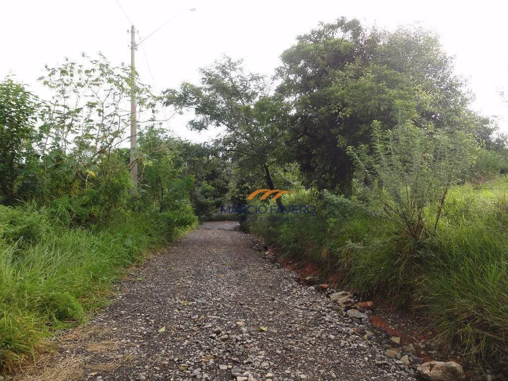 Terreno, 2000 m² - Foto 3