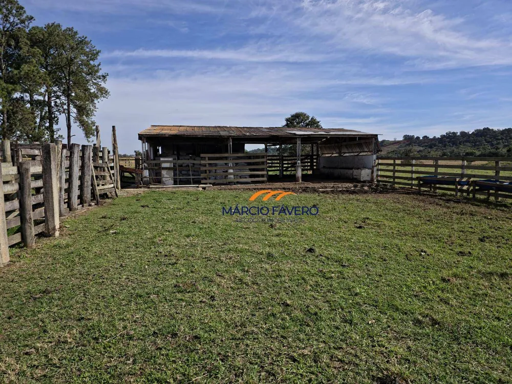 Sítio, 17 hectares - Foto 16