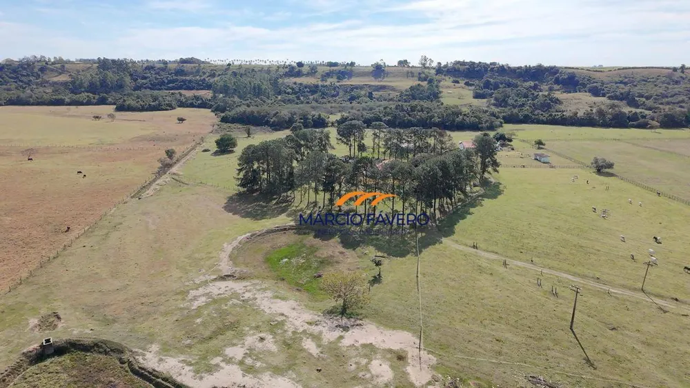 Sítio, 17 hectares - Foto 8