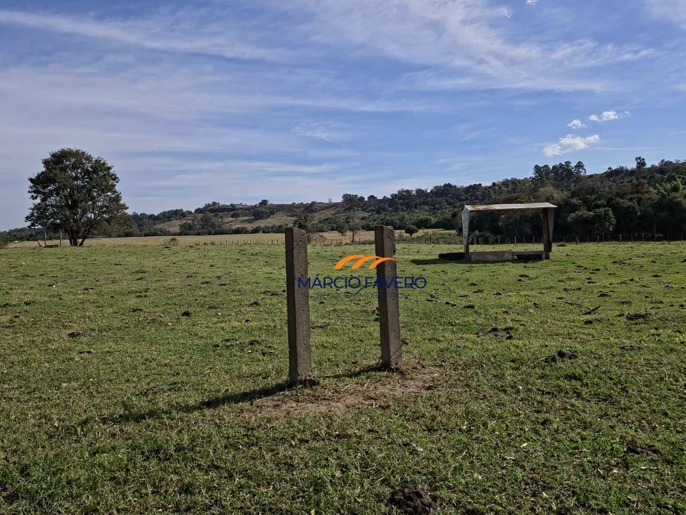 Sítio, 17 hectares - Foto 13