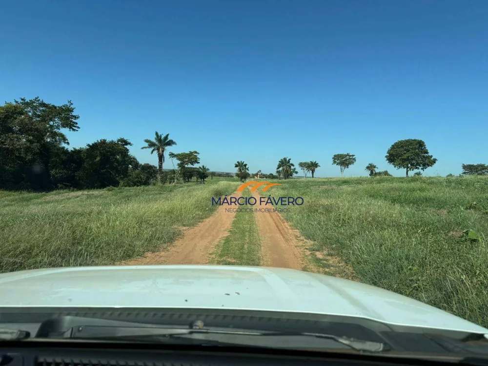 Fazenda, 152 hectares - Foto 8
