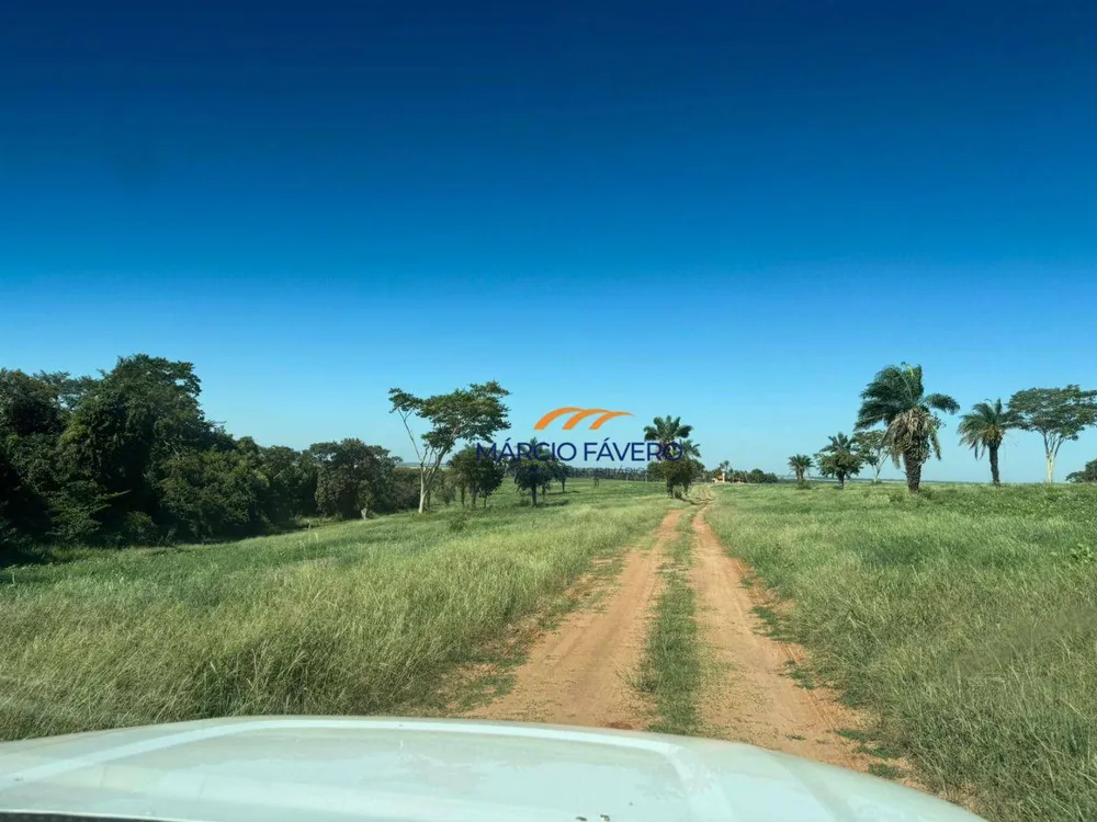 Fazenda, 152 hectares - Foto 5