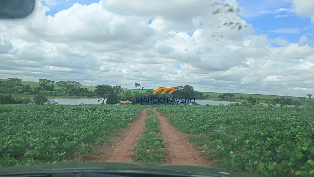 Fazenda, 152 hectares - Foto 7
