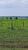 Fazenda-Sítio-Chácara, 1089 hectares - Foto 2