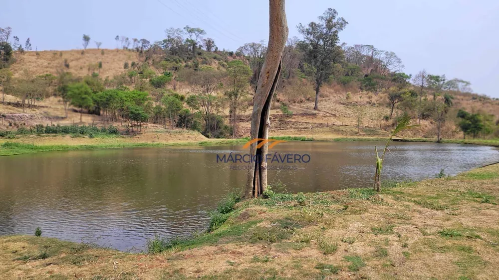 Fazenda, 86 hectares - Foto 1