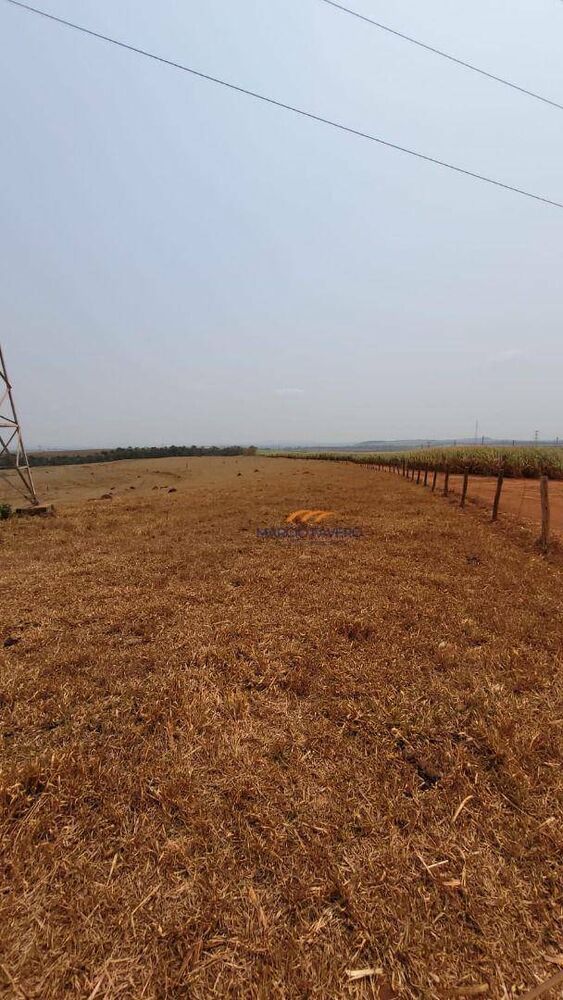 Fazenda à venda, 859100M2 - Foto 12