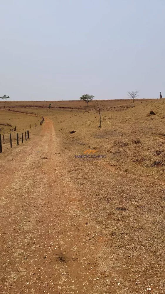 Fazenda, 86 hectares - Foto 12
