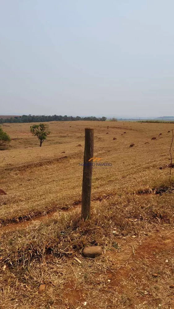 Fazenda, 86 hectares - Foto 14