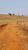 Fazenda-Sítio-Chácara, 86 hectares - Foto 11