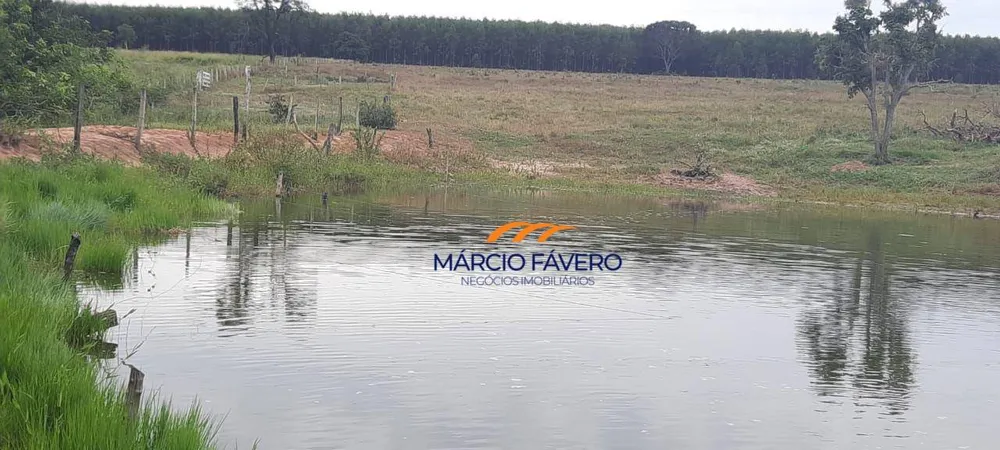 Fazenda, 322 hectares - Foto 10